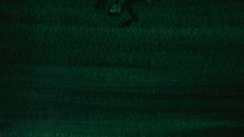 200.gif?cid=fc005b0843d3bb41f185ea4f9a835d496d9dd790f6ab4372&rid=200.gif&ct=g