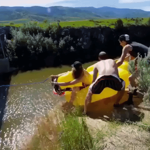 Duck Deal With It GIF by agconti