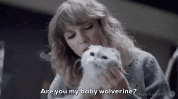 behind the scenes cat GIF by Taylor Swift