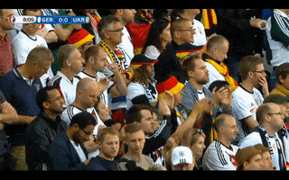 dannymarx football germany fans 2016 GIF