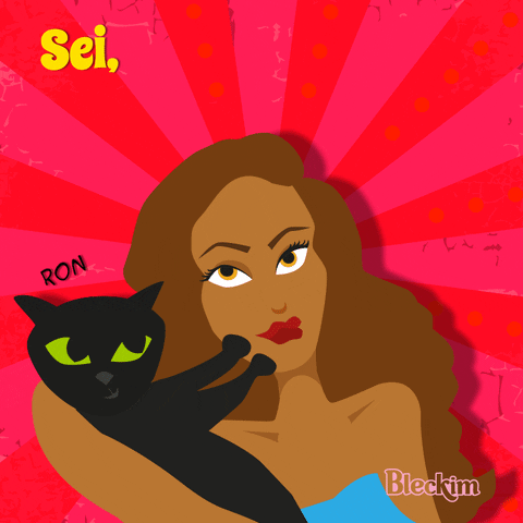 bleckim cat gato gateira maedegato GIF