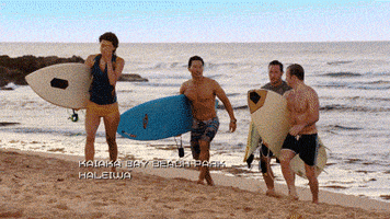 surf GIF by CBS