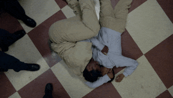 sandragonzalez  GIF