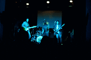 cactus rock argentina cactus livemusic GIF