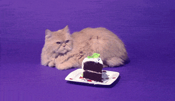 Unimpressed Happy Birthday GIF by Birthday Bot