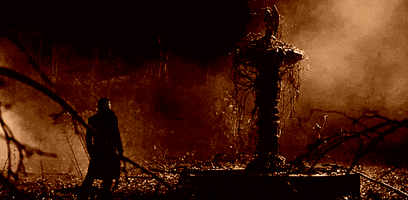 koh gif GIF