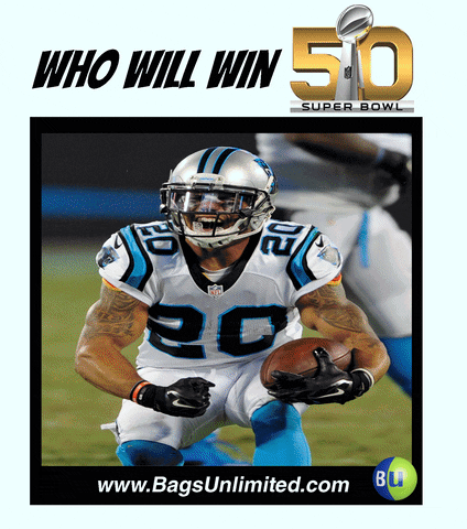 bagsun-ltdpage superbowl50 GIF