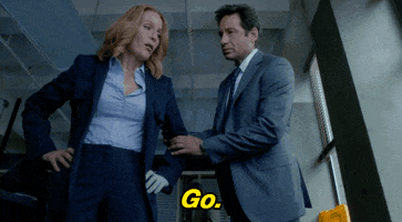 Go X Files GIF by The X-Files
