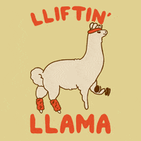 Exercise Llama GIF by Activate Apparel