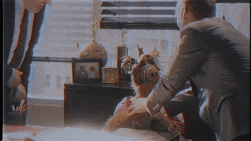 Shake Hands Trump GIF by Funny Or Die