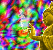 3d420 psychedelic smoke weed buddha GIF