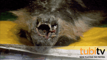 tubitv food death badger taboo GIF