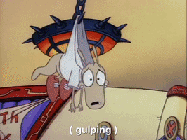 rockos modern life nicksplat GIF