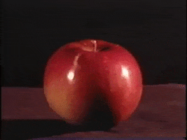 hungry round GIF by Archives of Ontario
