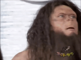 Game Show Television GIF