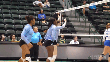 volleyball silver GIF by GreenWave