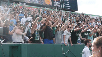 football fans GIF by GreenWave