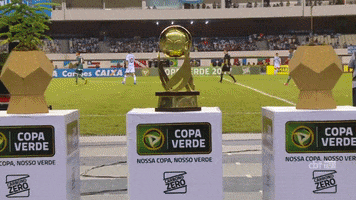 mato grosso football GIF by Confederação Brasileira de Futebol