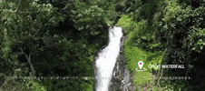 gitgit waterfall bali GIF