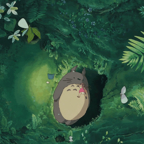 florenciaalapi totoro GIF