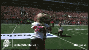 gobucks GIF by Ohio State Athletics