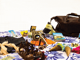 #Travel #Bagtag GIF by Contiki