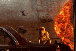 Independence Day GIF by 20th Century Fox Home Entertainment