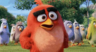 the angry birds movie what GIF by Angry Birds
