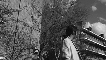 shinidzikowska  GIF