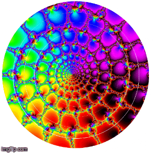 shalesatieh rainbow colorful colors motion GIF