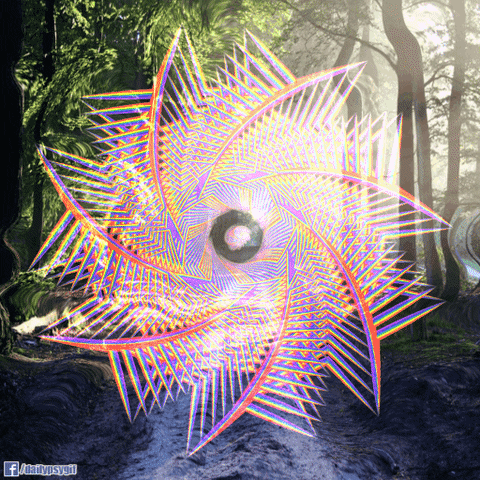 trip forest GIF by Psyklon