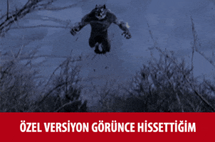 wolfteam wolfteam GIF