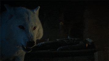 200.gif?cid=fc005b0851c0a0f3929b8da62361cff3f9514c0e839eebae&rid=200.gif&ct=g