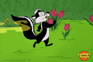 Pepe Le Pew GIFs - Get the best GIF on GIPHY