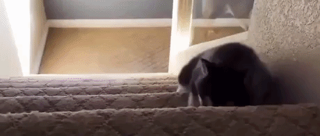 kibueno  GIF