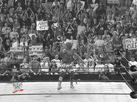 WWE GIF