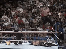wwe sports wwe wrestling 1996 GIF