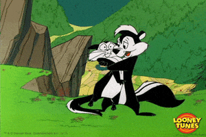 pepe le pew love GIF by Looney Tunes