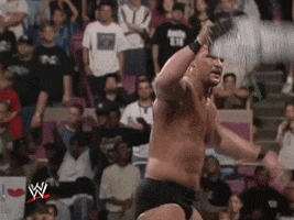 WWE GIF