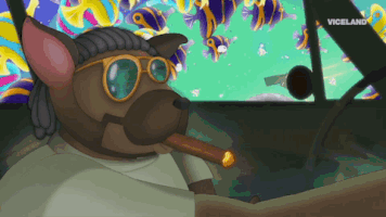 Viceland GIF by Party Legends