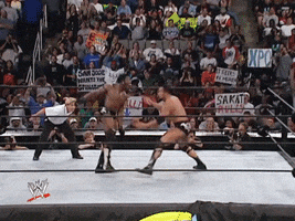 WWE GIF