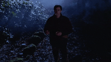 clive barker GIF by Kino Lorber