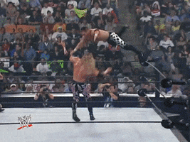 Summerslam 2001 Wrestling GIF by WWE
