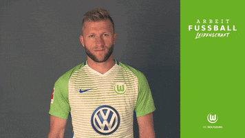 jakub blaszczykowski bundesliga GIF by VfL Wolfsburg