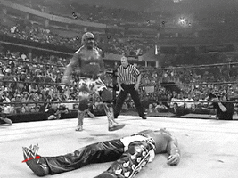 Hulk Hogan Wrestling GIF by WWE