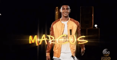 200.gif?cid=fc005b08dba26caffebfde2fe10199d55caee1f58642ce9c&rid=200.gif&ct=g