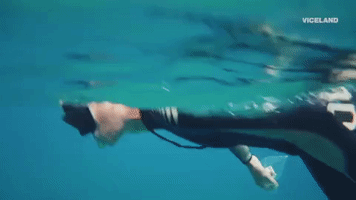 200.gif?cid=fc005b08a995d7b13e543e0342b72ed673b3caa923d1662d&rid=200.gif&ct=g