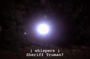 Season 2 Episode 22 GIF by Twin Peaks on Showtime