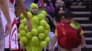fruit of the loom GIF by NBA