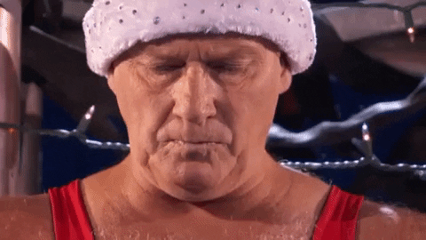 America's Got Talent nbc agt americas got talent americas got talent holiday spectacular GIF